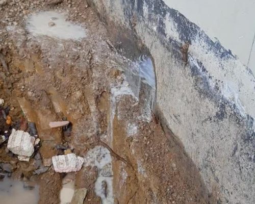 20220407_082057-1--640